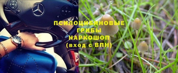 скорость Новокубанск